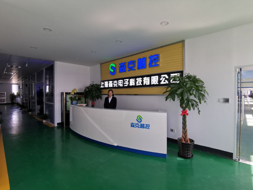 上海科技公司 引领创新，驱动未来